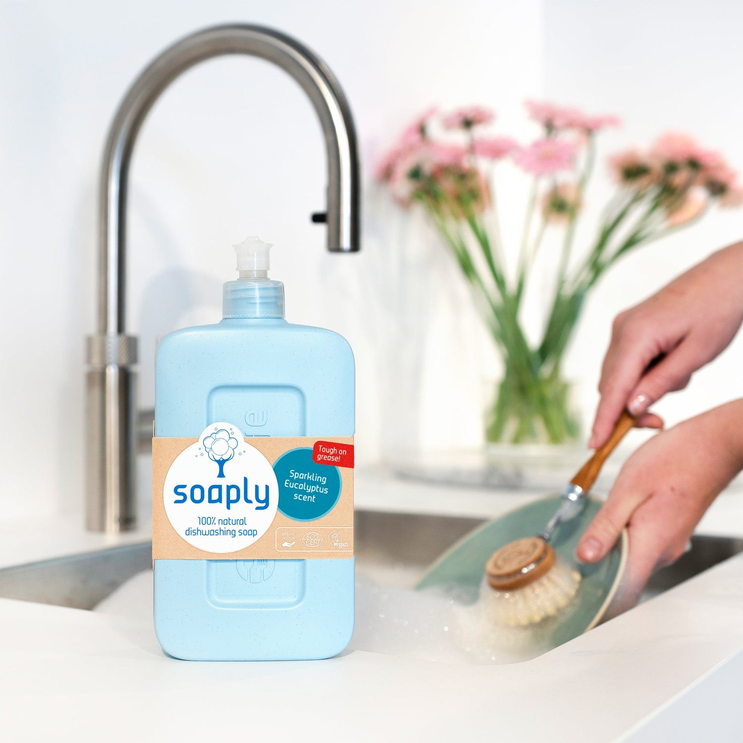 Dishwashing Soap